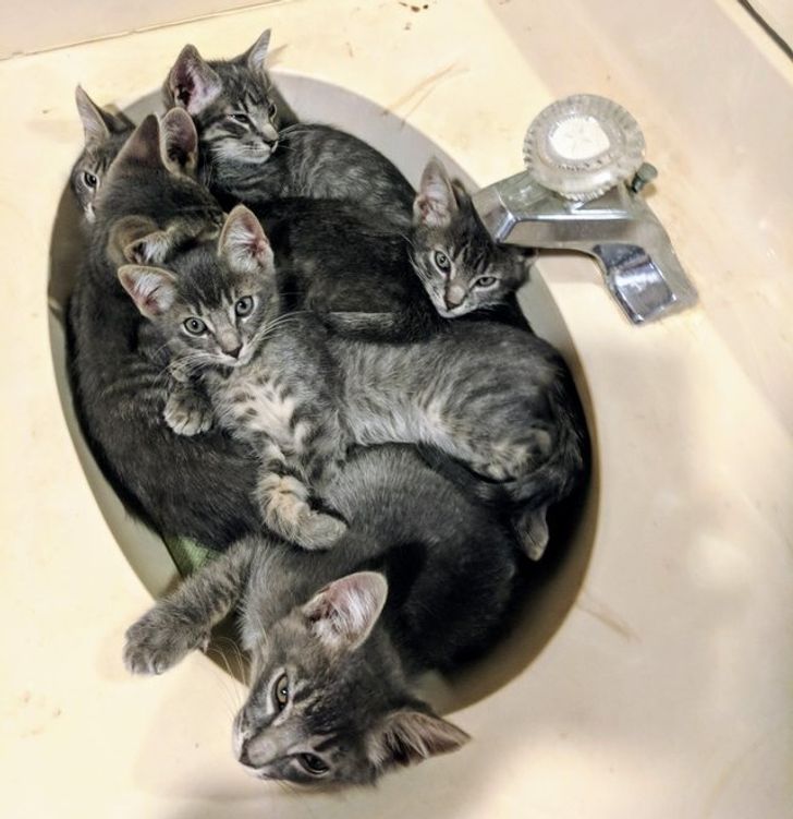 0ff54e5cf88291204af6c29905