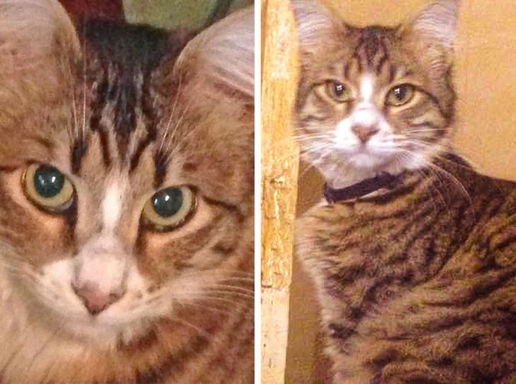 0ffdea57f4b1573137702a65b9