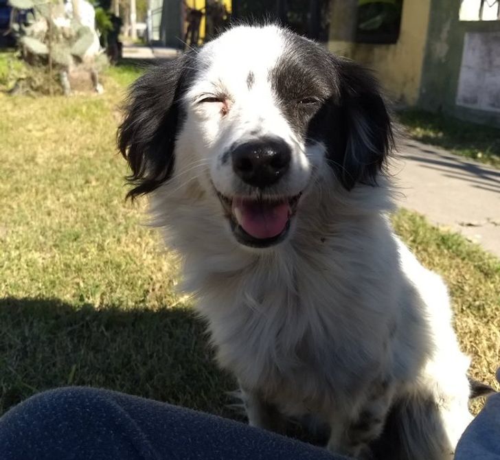 1002ce5f66a595ba110aa52da8