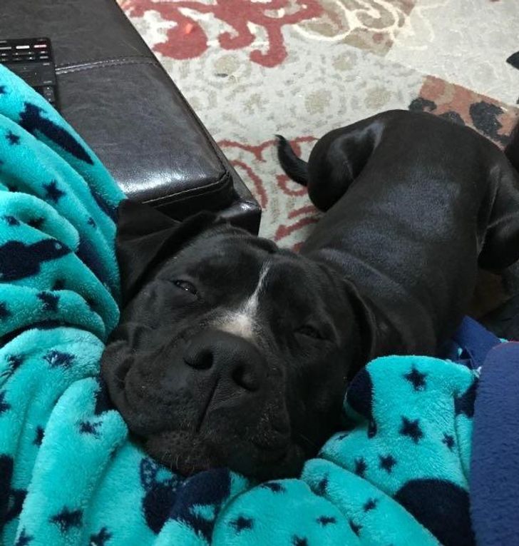 10082255a1895874fb6dcf2a28