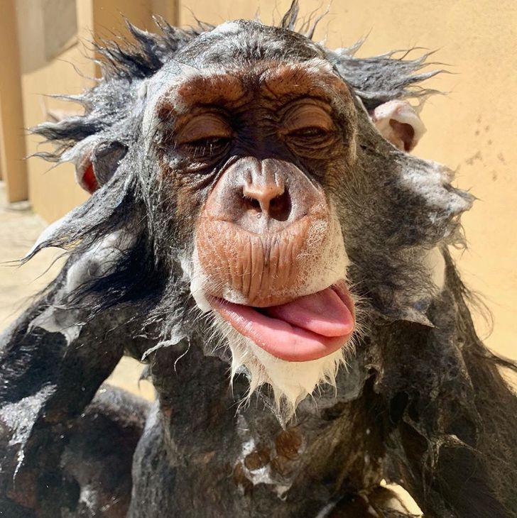 1011d6511c93bfae1151fac4d8