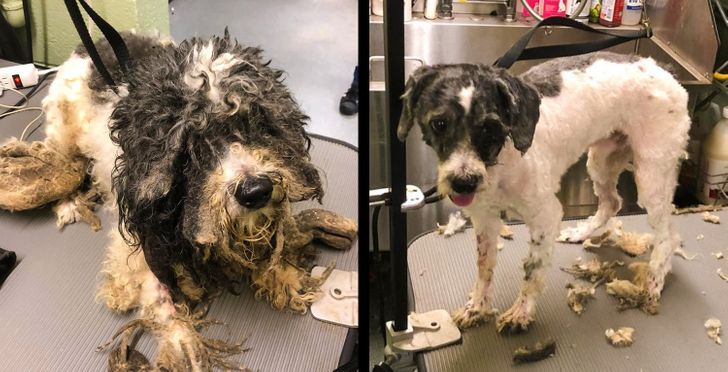 10160f56ca8b191e176d9a9764