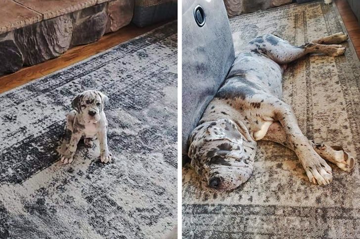 10171d5bce8286b81edde2c7b1 10171d5bce8286b81edde2c7b1