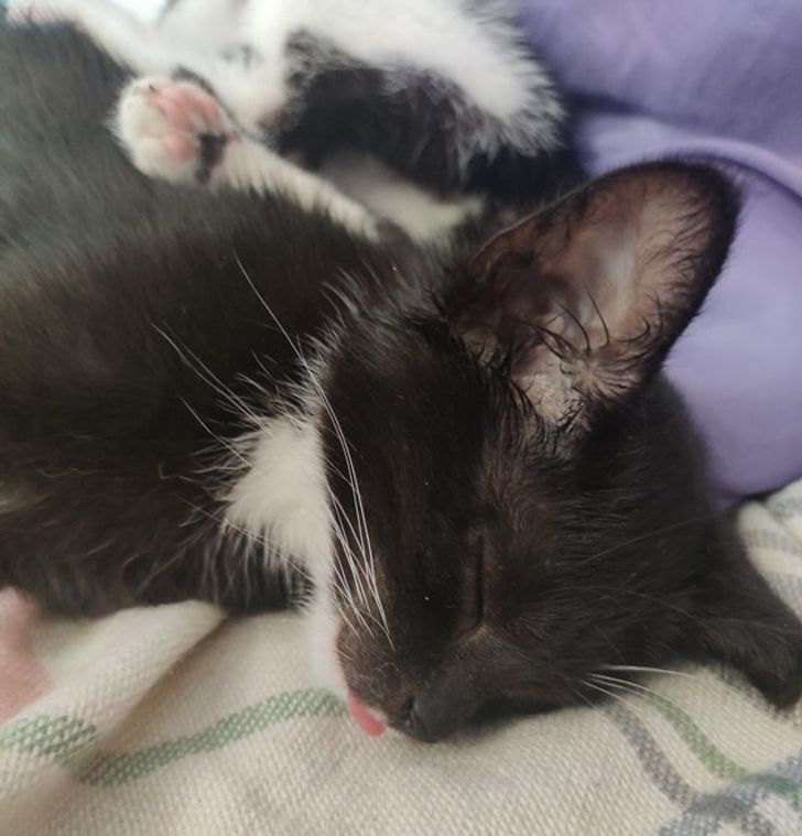 1018e3526796212381db5c26ed