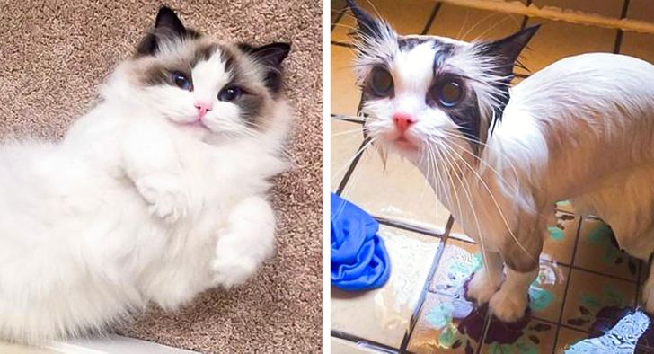 1021b258e0a83af58f729bca9e