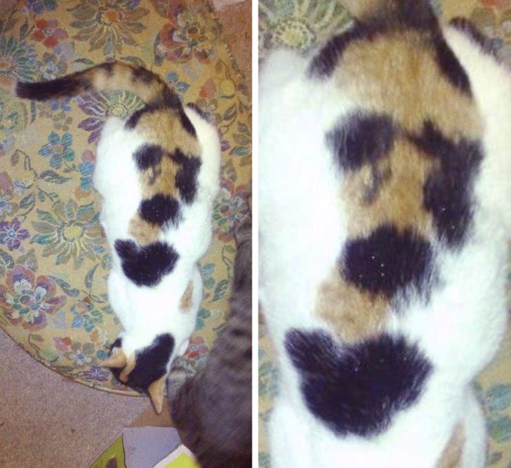 10220b5c3caca3ad0249621fb7