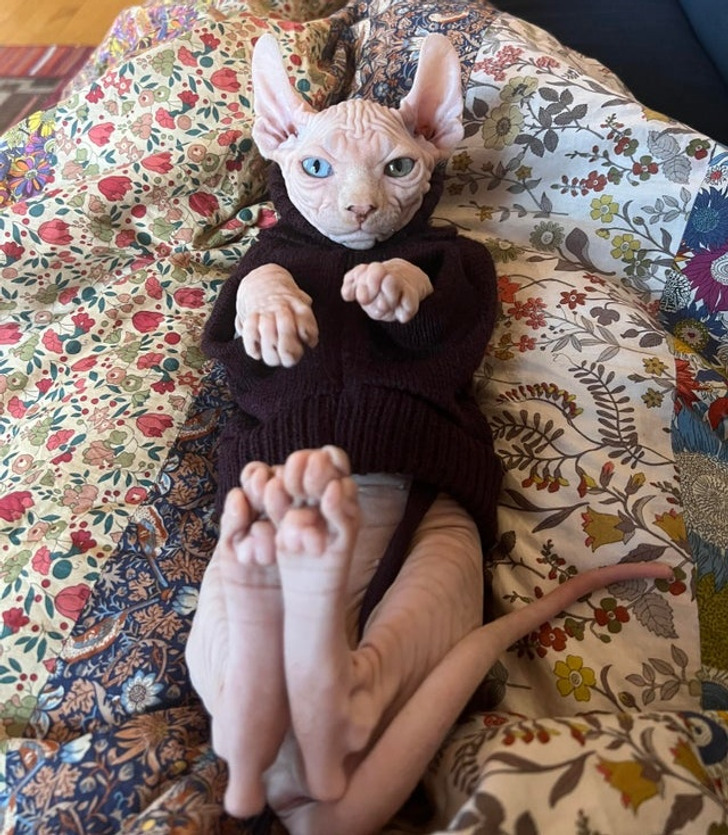 10255458e2b589eef288ee2c43 10255458e2b589eef288ee2c43