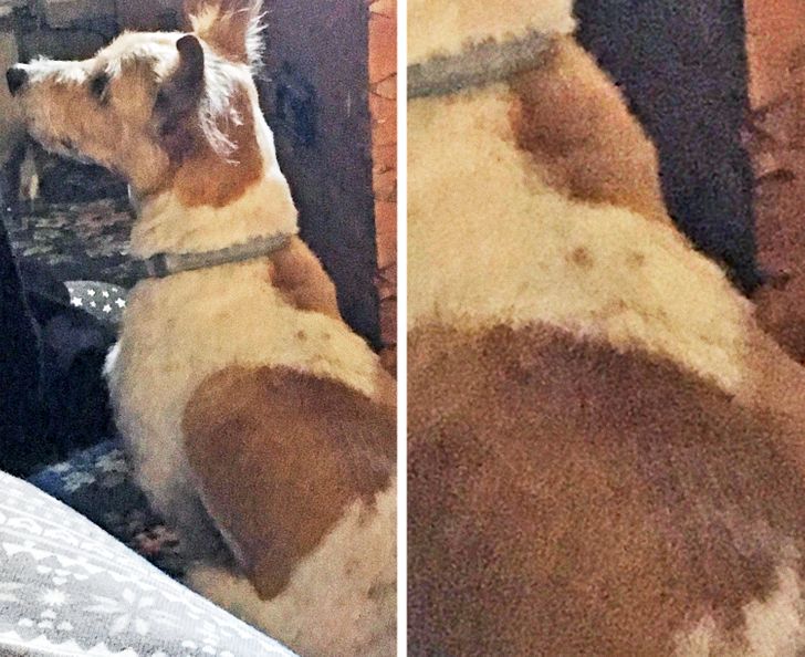 1027b4557d84bf3b3769c7c71e