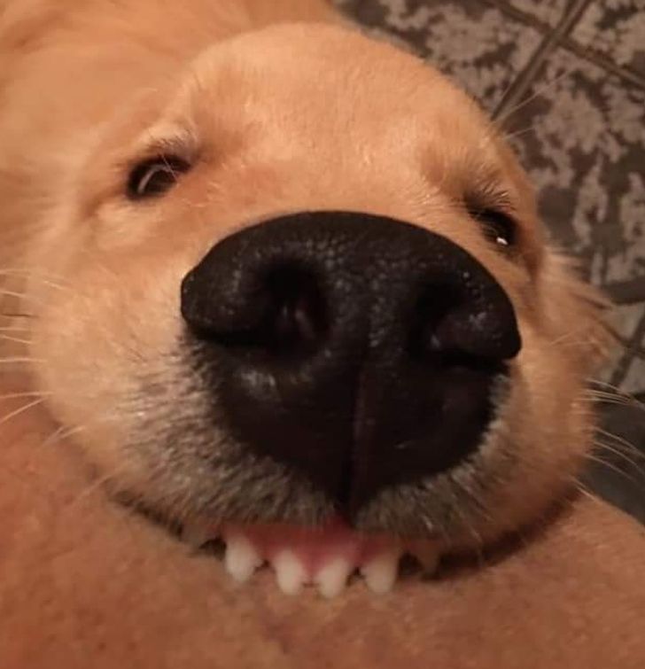 1028f458c1821dc4067540cd9f