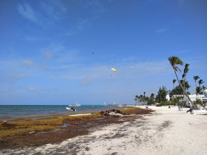 102b395cdf9aff0885cb329eee