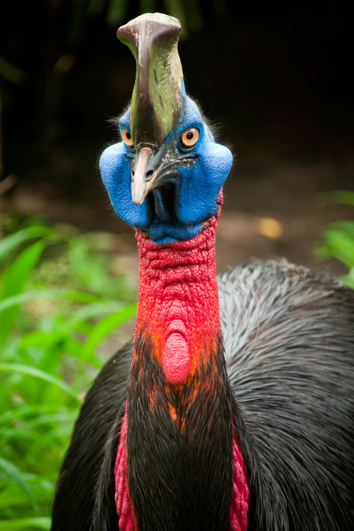 10367c5ea383c4b6d6b9dad801