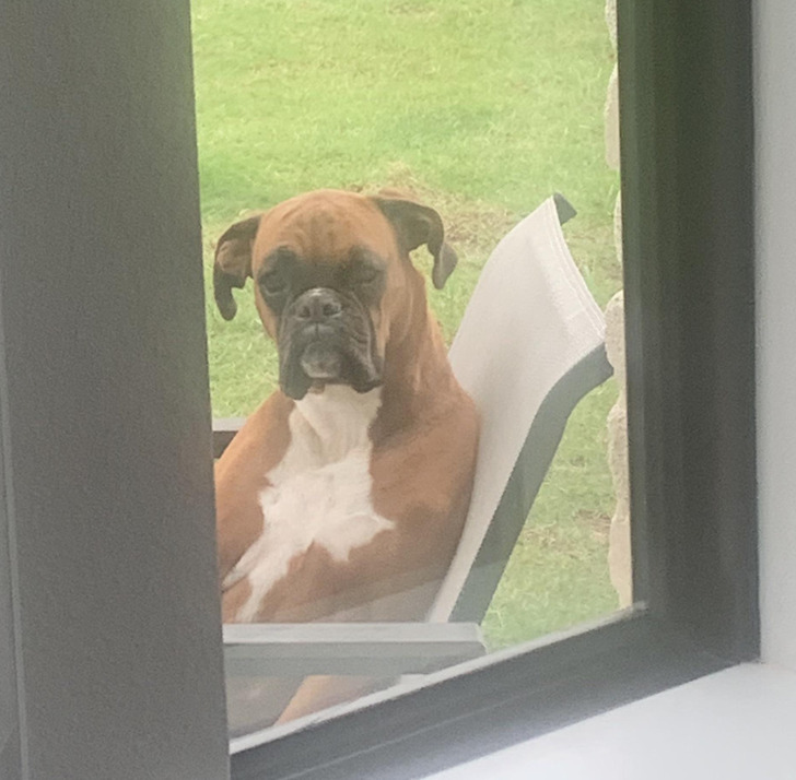 103f67585e82313a0b18d58f5e 103f67585e82313a0b18d58f5e