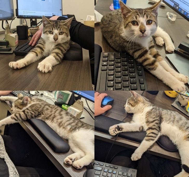 10423a52ee827c98c4b470d7d2