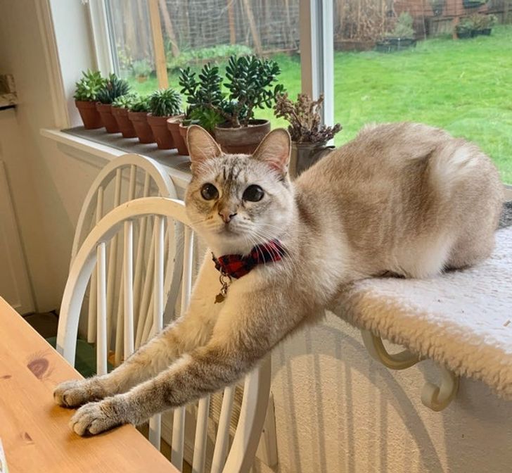 10470953bf99008f7bf464b345 10470953bf99008f7bf464b345