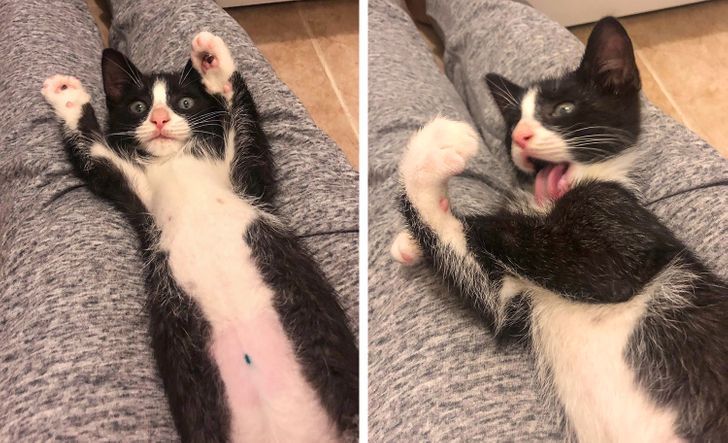 104f3b519abc60395402804c98