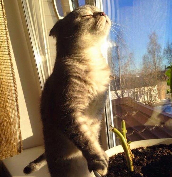 10511e53b7875ccb5f5503fd86 10511e53b7875ccb5f5503fd86