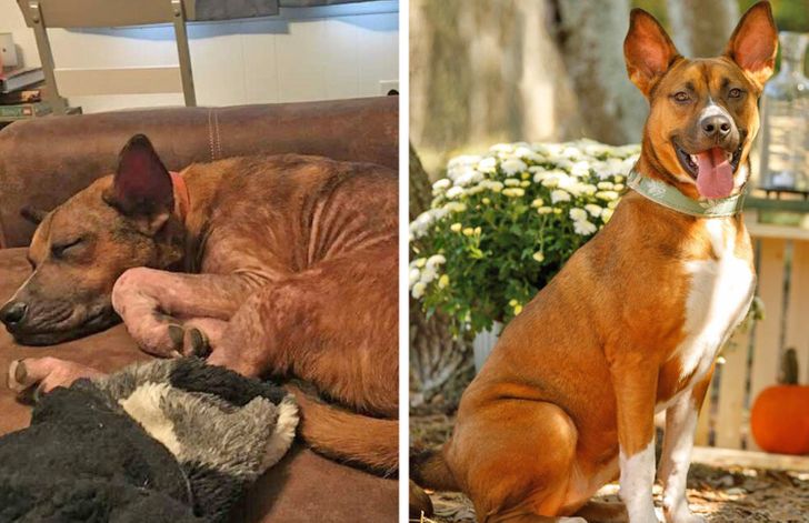 1054c25c0eb8f04eefd0805ad3