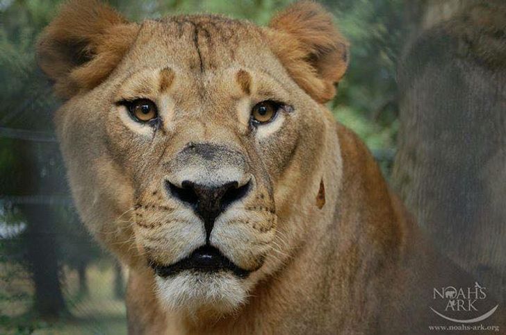 10642f5dbf8dc858067d8690c7