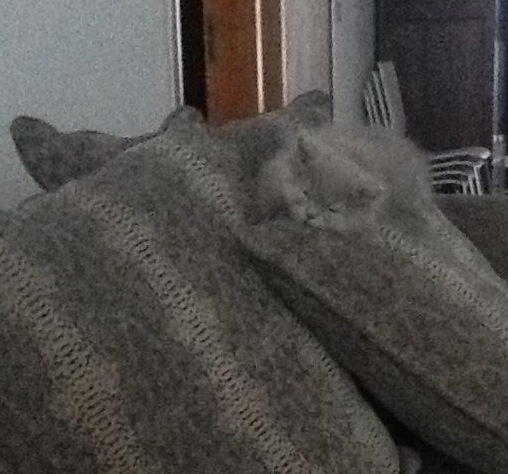 106e36505d97d087f0bd55dfd3