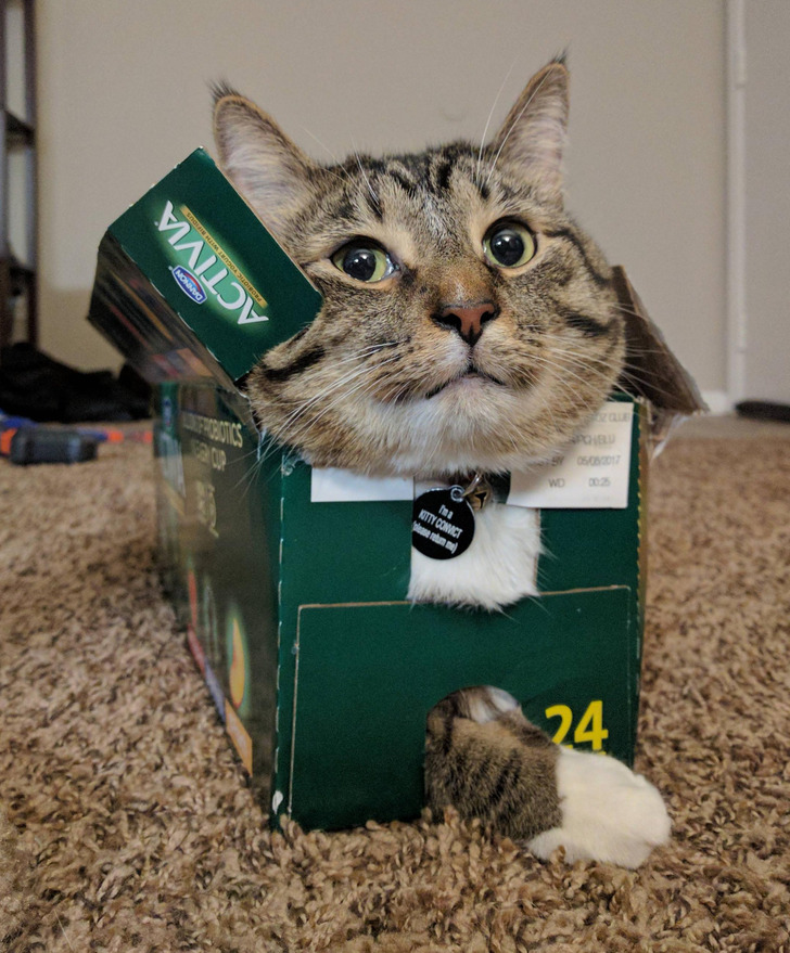 1076445815b1efecef0ea7f0c9 1076445815b1efecef0ea7f0c9