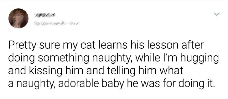 1078655b6785d81a0a0f70248f