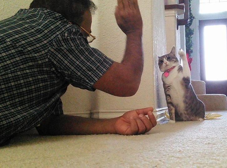 1079425f29b576fcbd7c80964e