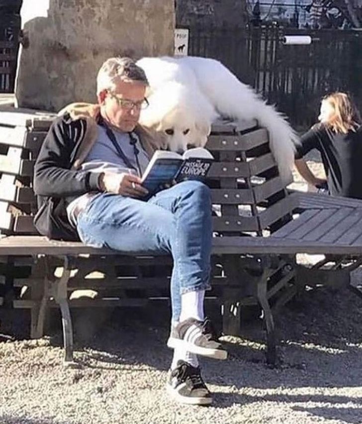 107ed2549da4d9afc713ab5886