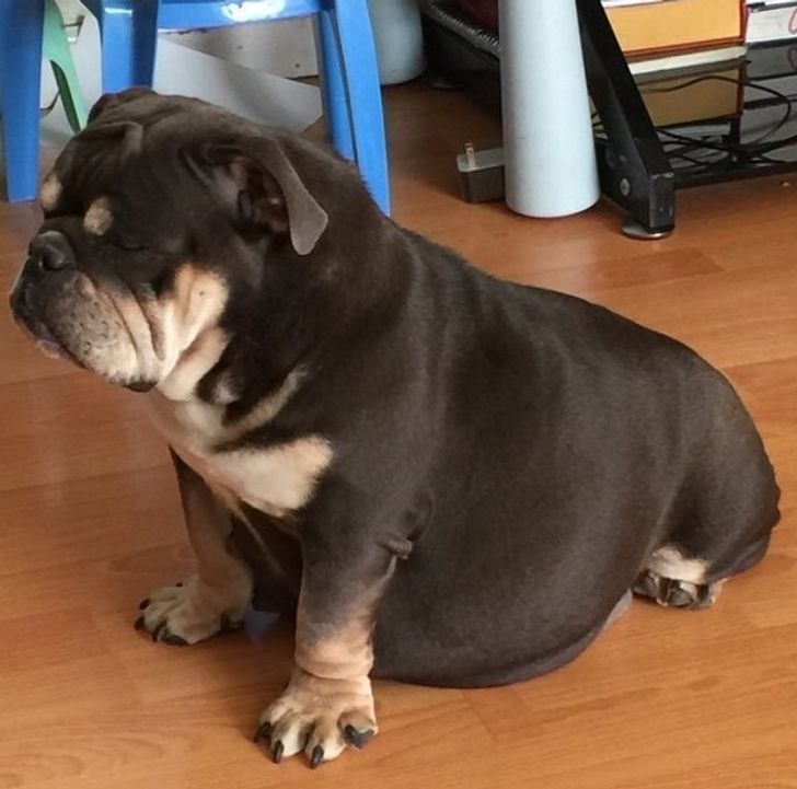 1085cd5c1d9346c7e5b7a41601