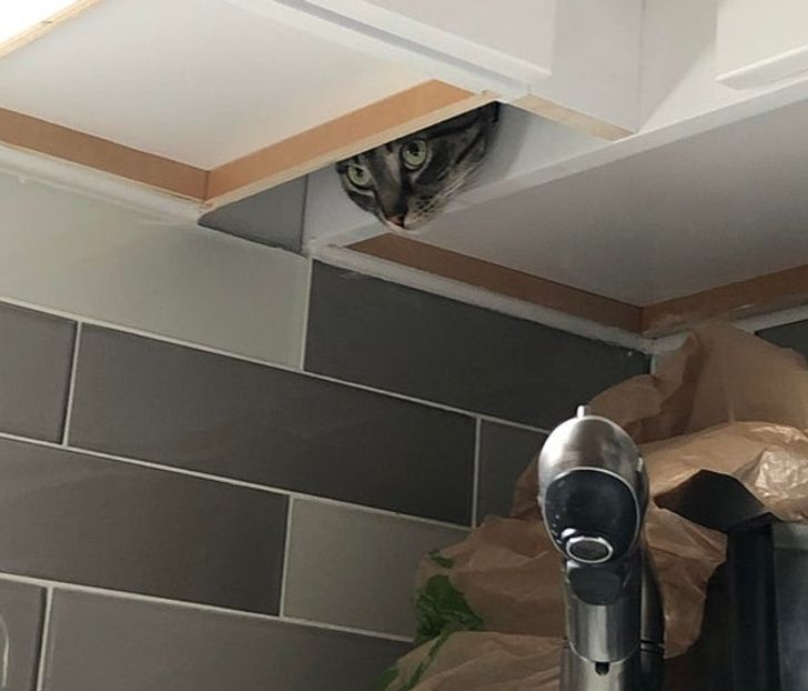 10878c518baa666c86284a78c4