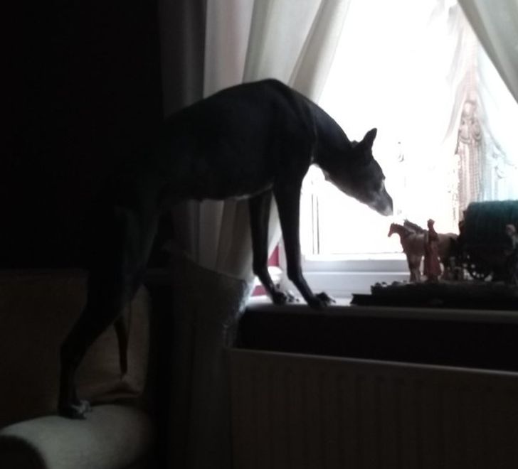 108c2153cc8506319b7c6fd4d8