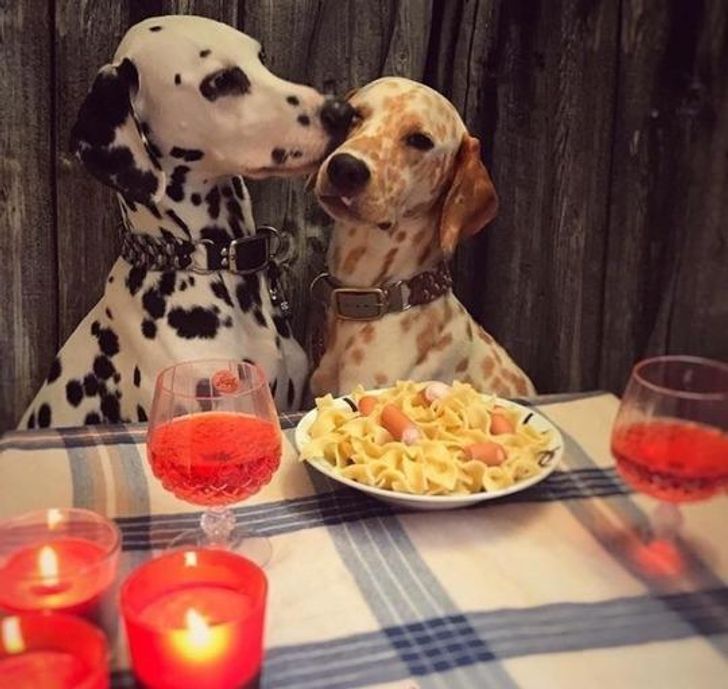 108f2f581caeed2fec3add43d8