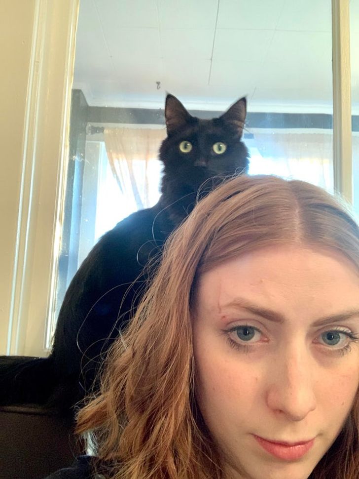 10925c5bf48083f61a59efff46