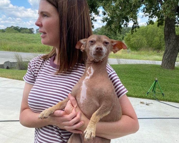 10962450a798c212f7ac19ae72