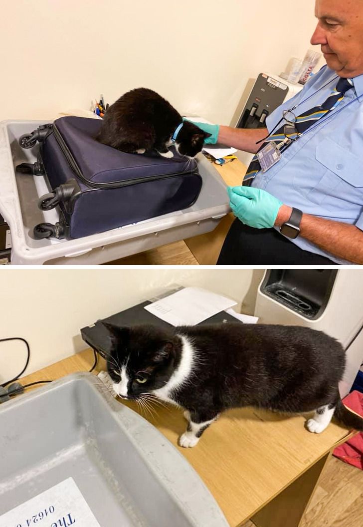 109b9f5173a04a5a872f93ec78