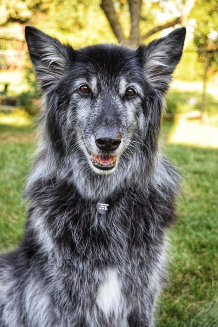 10a5855250bfdb2ae8f2ab4190