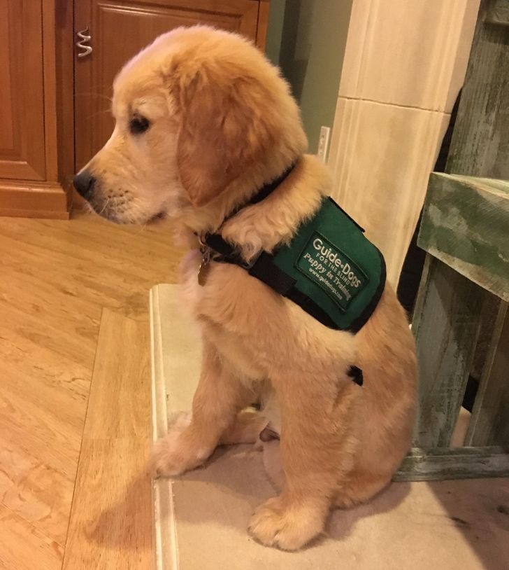 10aaea5e658dcbde386496ea7f