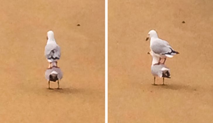 10ac25579280b1be8b3f500401