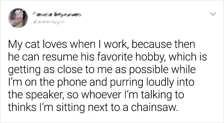 10b045575bb85684c716cd9fb2