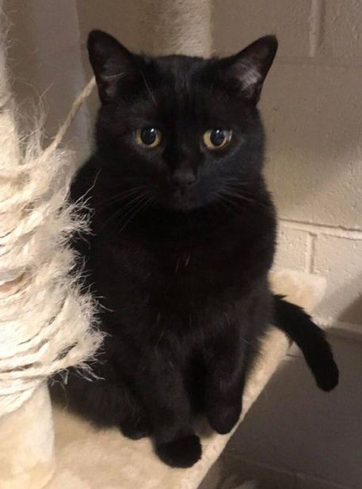 10b5085924bde1af3948dce176