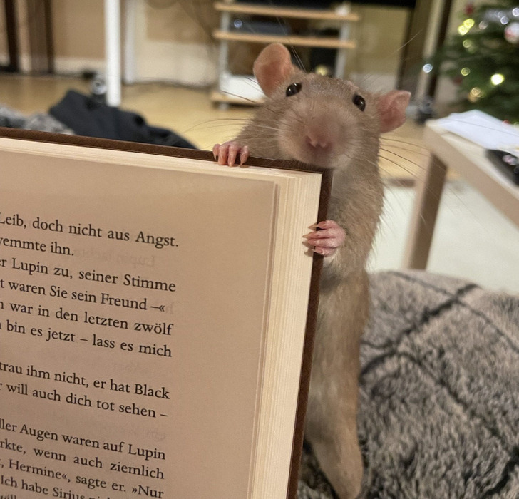 10b71e5d72b488c6f79e8849a8