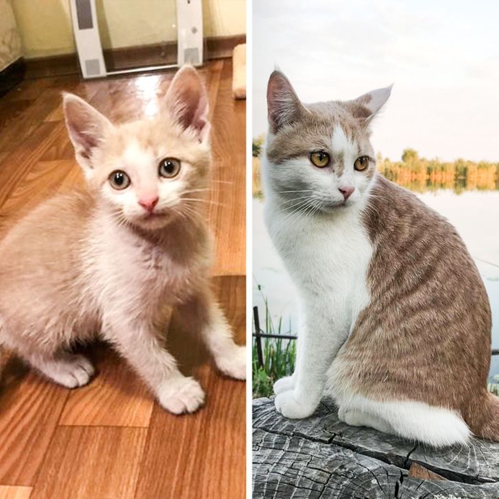 10b8da5e6d83a7cb1b40ee52d6