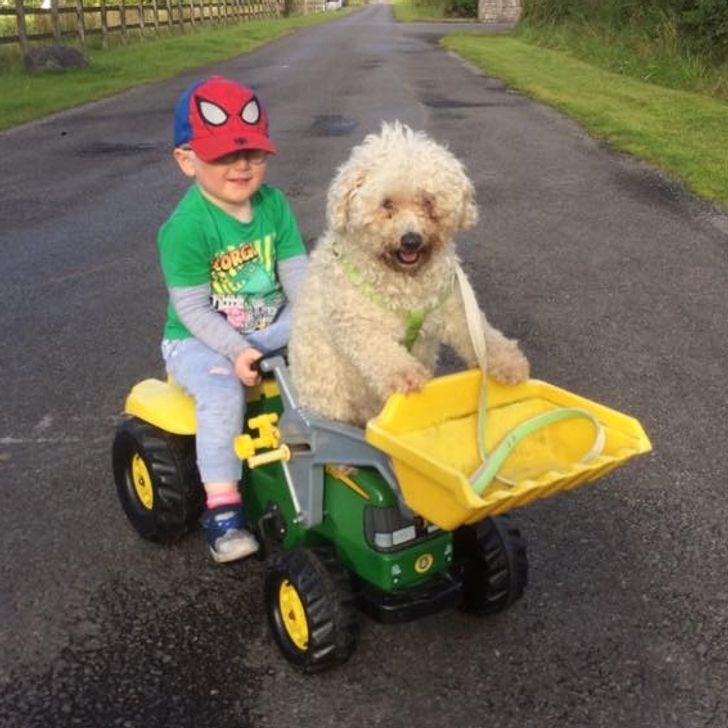 10bb7d5b3fb990b88fd9cca774