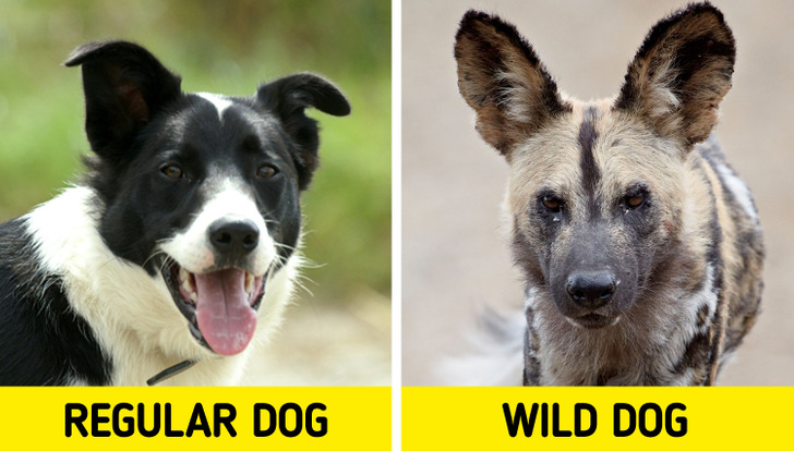 10bf865dde859559a4adef2193