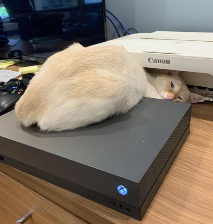 10c0635c66bfcc5436c11b0cb6 10c0635c66bfcc5436c11b0cb6