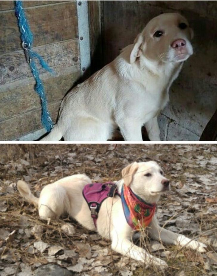 10c0645df5931bdfc60d55f274