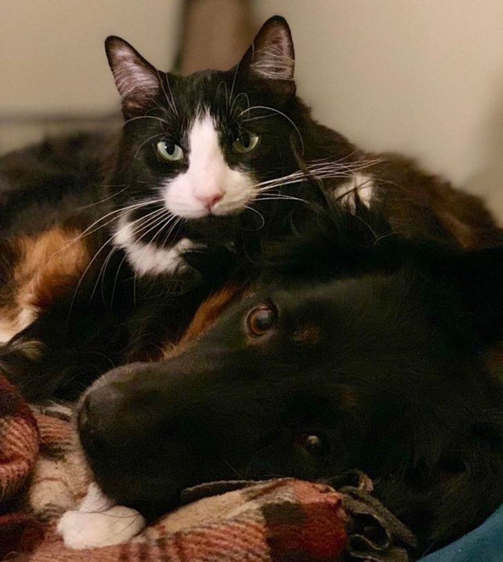 10c1f85c98bd499a41f03f9068