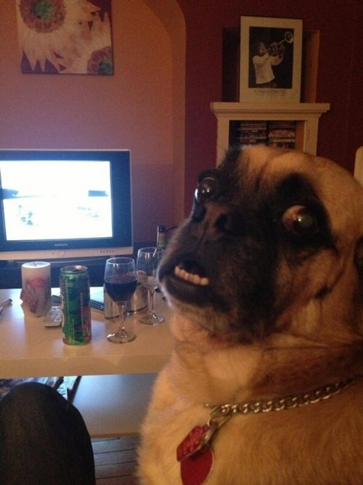 10c20c5aa3998d337f899f2130