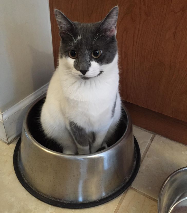 10c6035b61bdad6b31ff314242