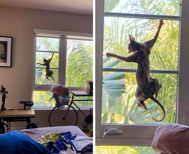 10c75555bba996ff54216be9ea