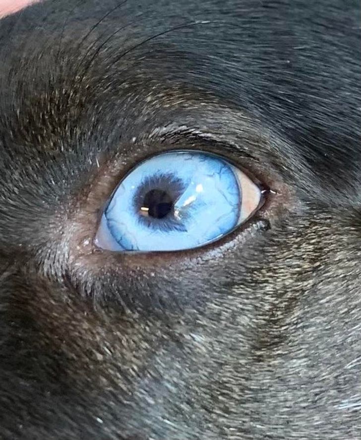 10ca105bfbbd4dbd80cfa6bfcb